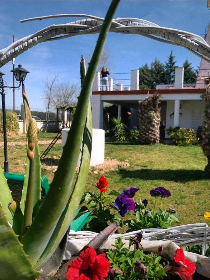 Hotel Rural Villa Torreaguila บาดาฮอส ภายนอก รูปภาพ